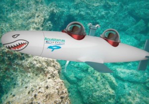 seabirdsub2-thumb-550xauto-79973
